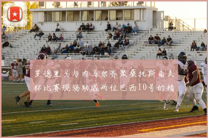 罗德里戈与内马尔齐聚桑托斯南美杯比赛现场助威两位巴西10号的精彩时刻