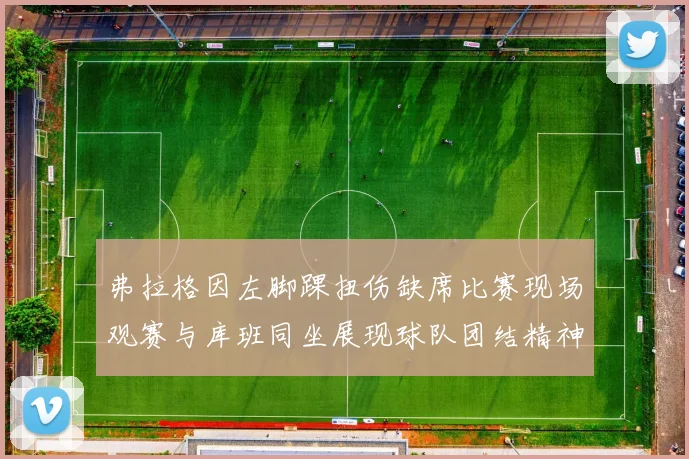 弗拉格因左脚踝扭伤缺席比赛现场观赛与库班同坐展现球队团结精神